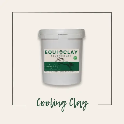 Equiclay Cooling Clay