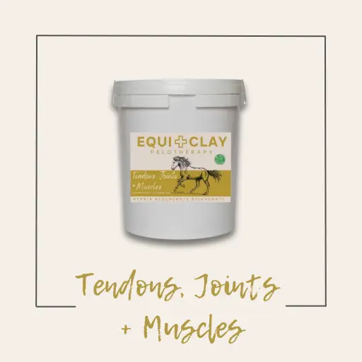 Equiclay Tendons, Joints & Muscles